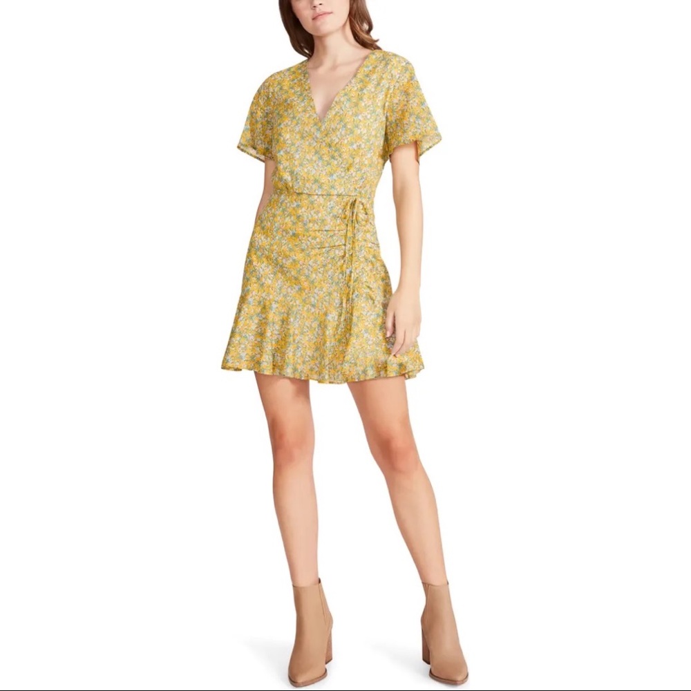NWT Big Flirt Energy Cotton Dress // BB DAKOTA BY STEVE MADDEN